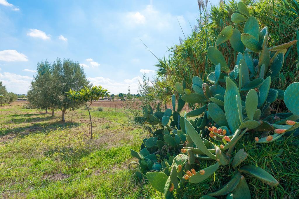 Granja Βίλα Inca  Εξωτερικό φωτογραφία