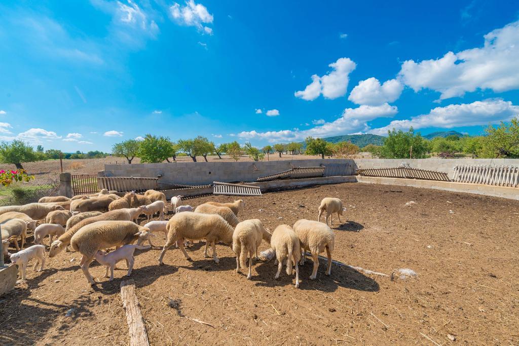 Granja Βίλα Inca  Εξωτερικό φωτογραφία
