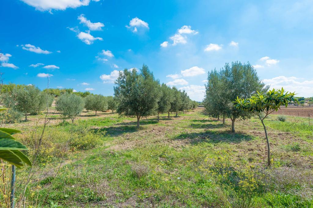 Granja Βίλα Inca  Εξωτερικό φωτογραφία