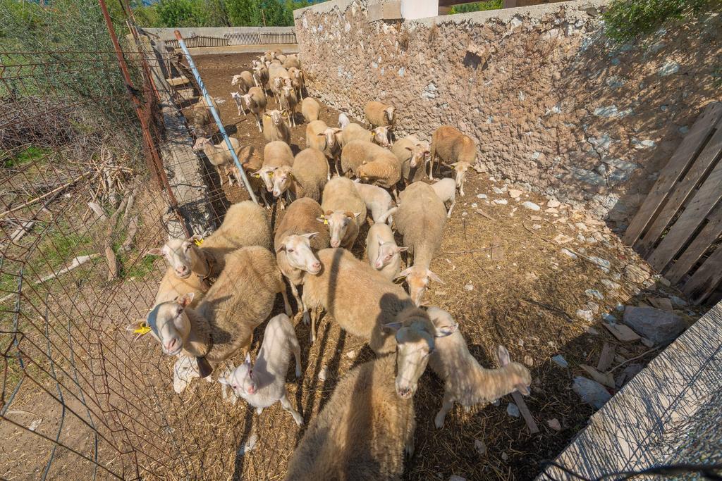 Granja Βίλα Inca  Εξωτερικό φωτογραφία