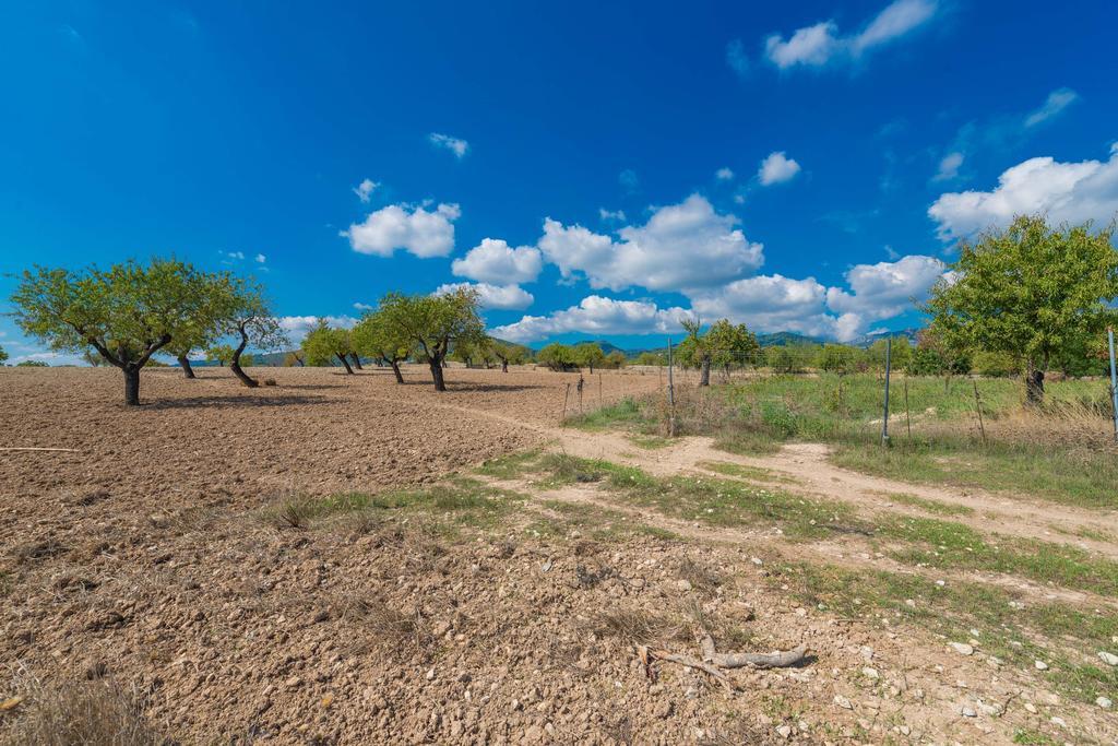 Granja Βίλα Inca  Εξωτερικό φωτογραφία