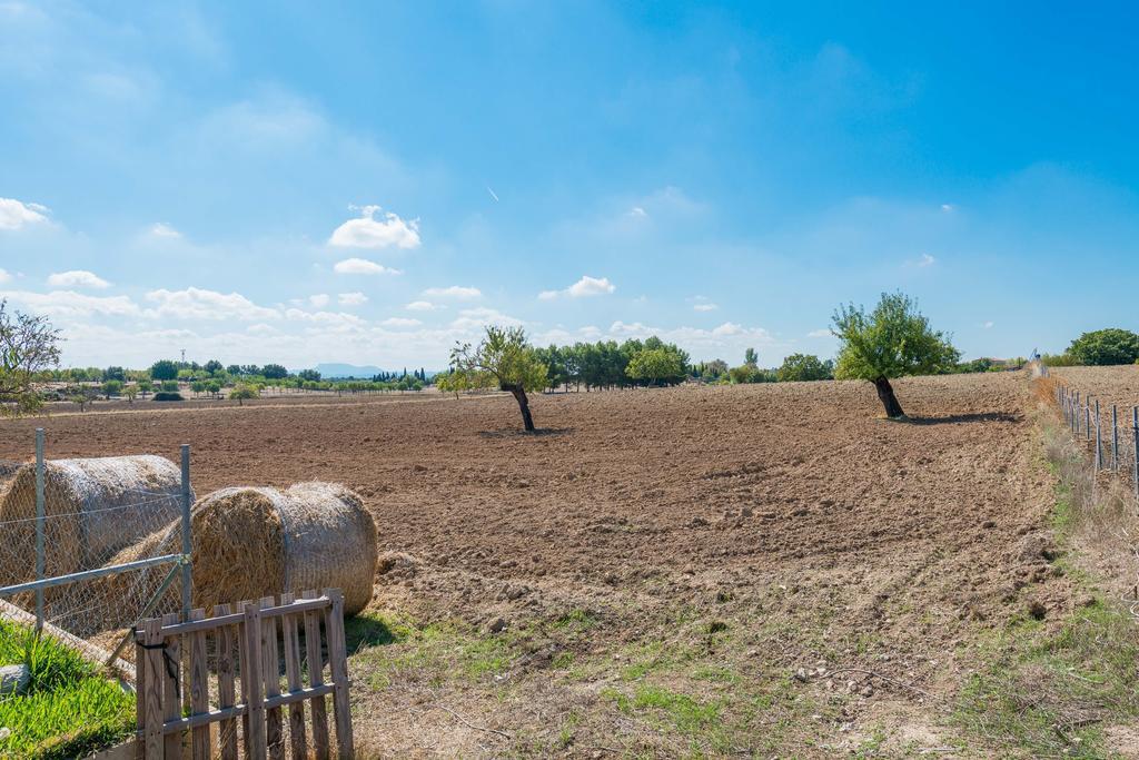 Granja Βίλα Inca  Εξωτερικό φωτογραφία
